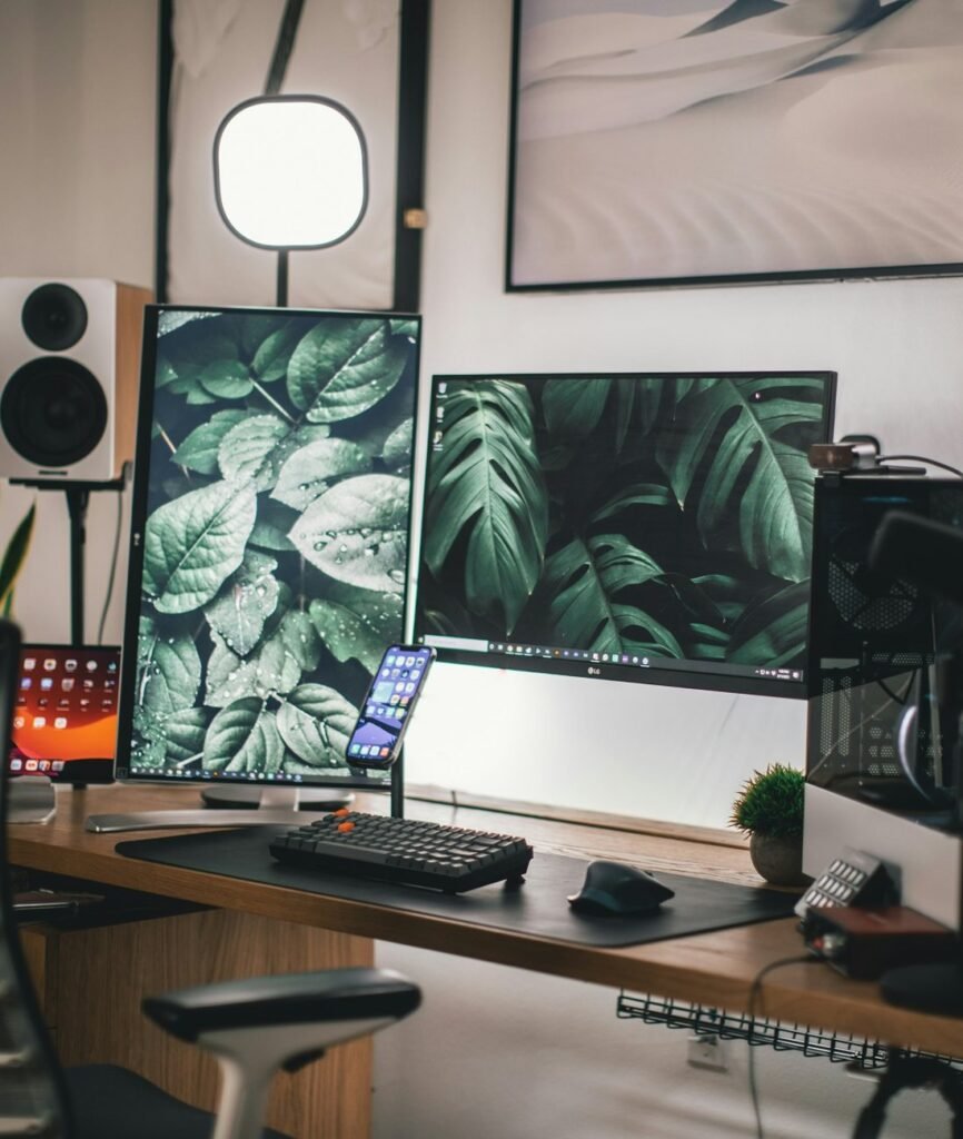 My desk setup with dual monitors, speakers, plants, and a desk lamp